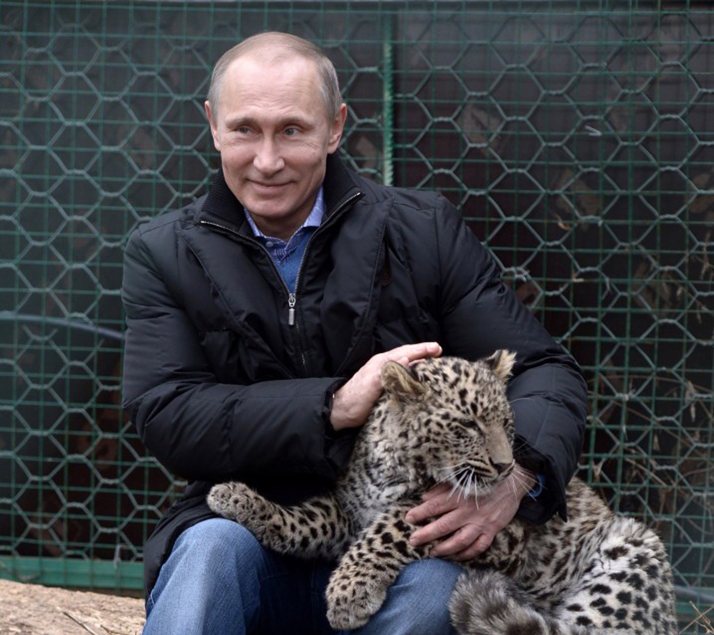 Putin’in leoparı yakalandı