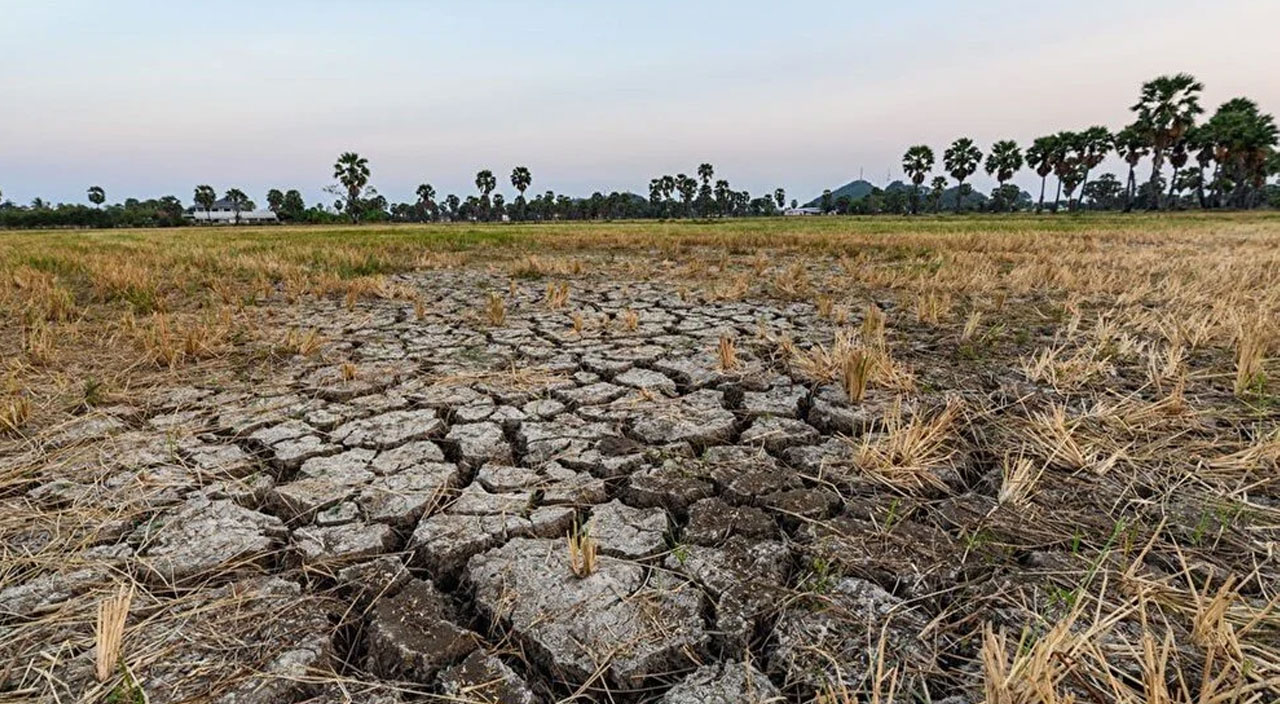 İklim değişikliklerinin sağlık üzerindeki etkileri hiç durmadan artıyor!