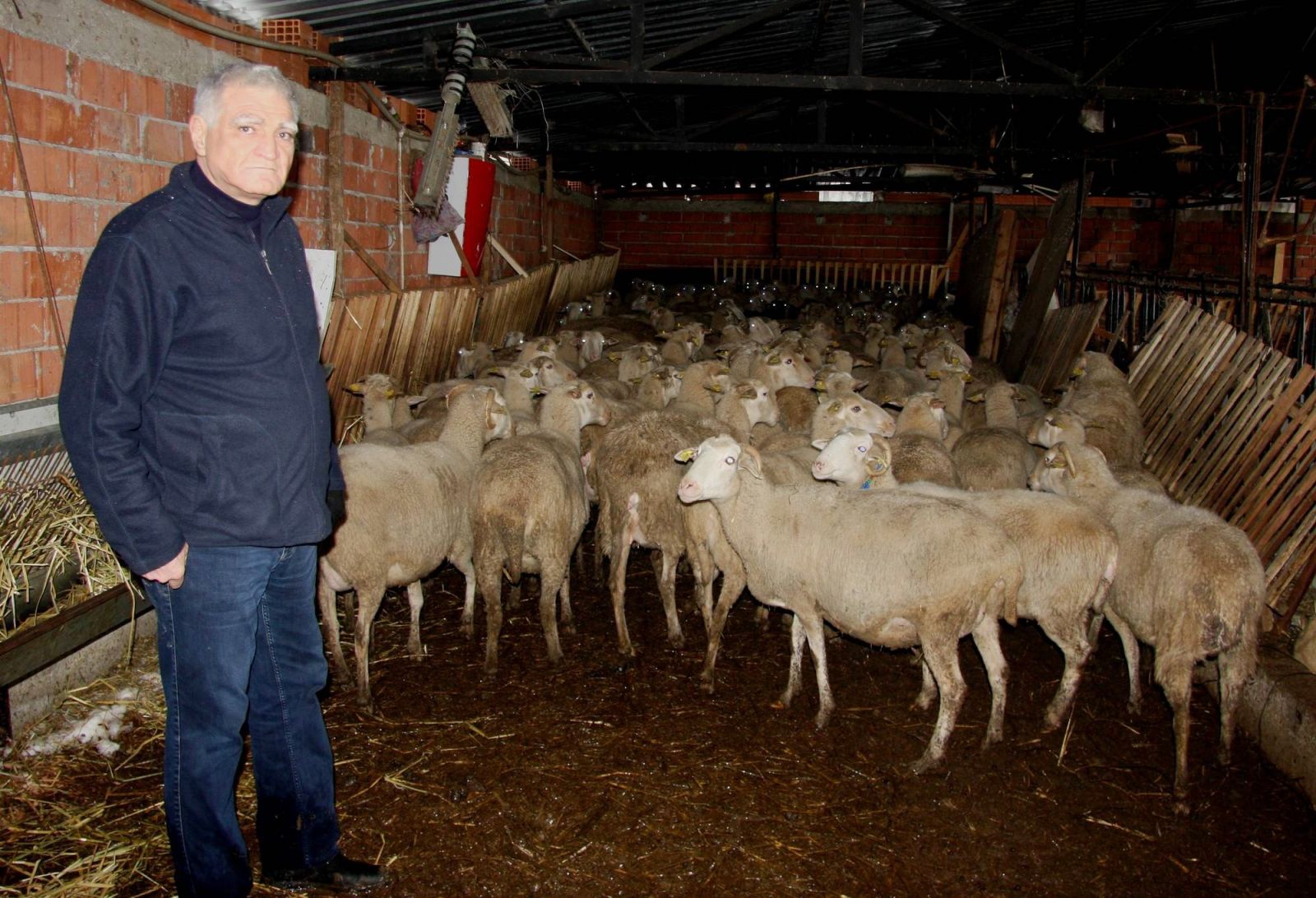 Bursa’da son iki yılda doğal afetlerde 200 ağıl çöktü