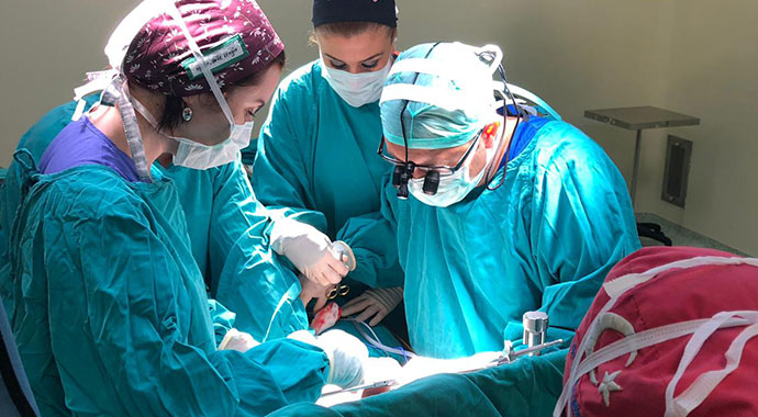 Aynı anda beş kişiye karaciğer nakledildi