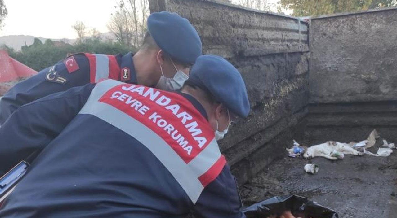 Tek tırnaklı hayvanları kesip satmaya hazırlanan şüphelilere suçüstü