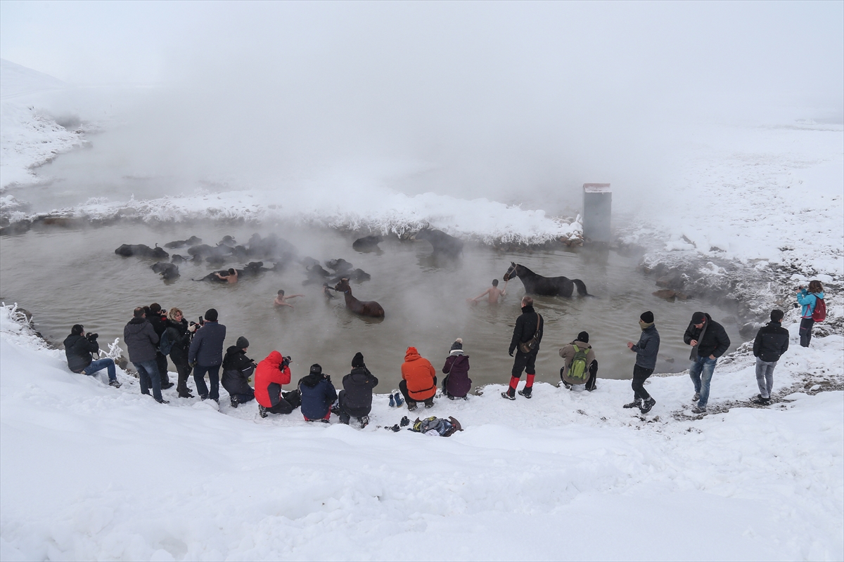 Bitlis'te doğal kaplıca keyfi