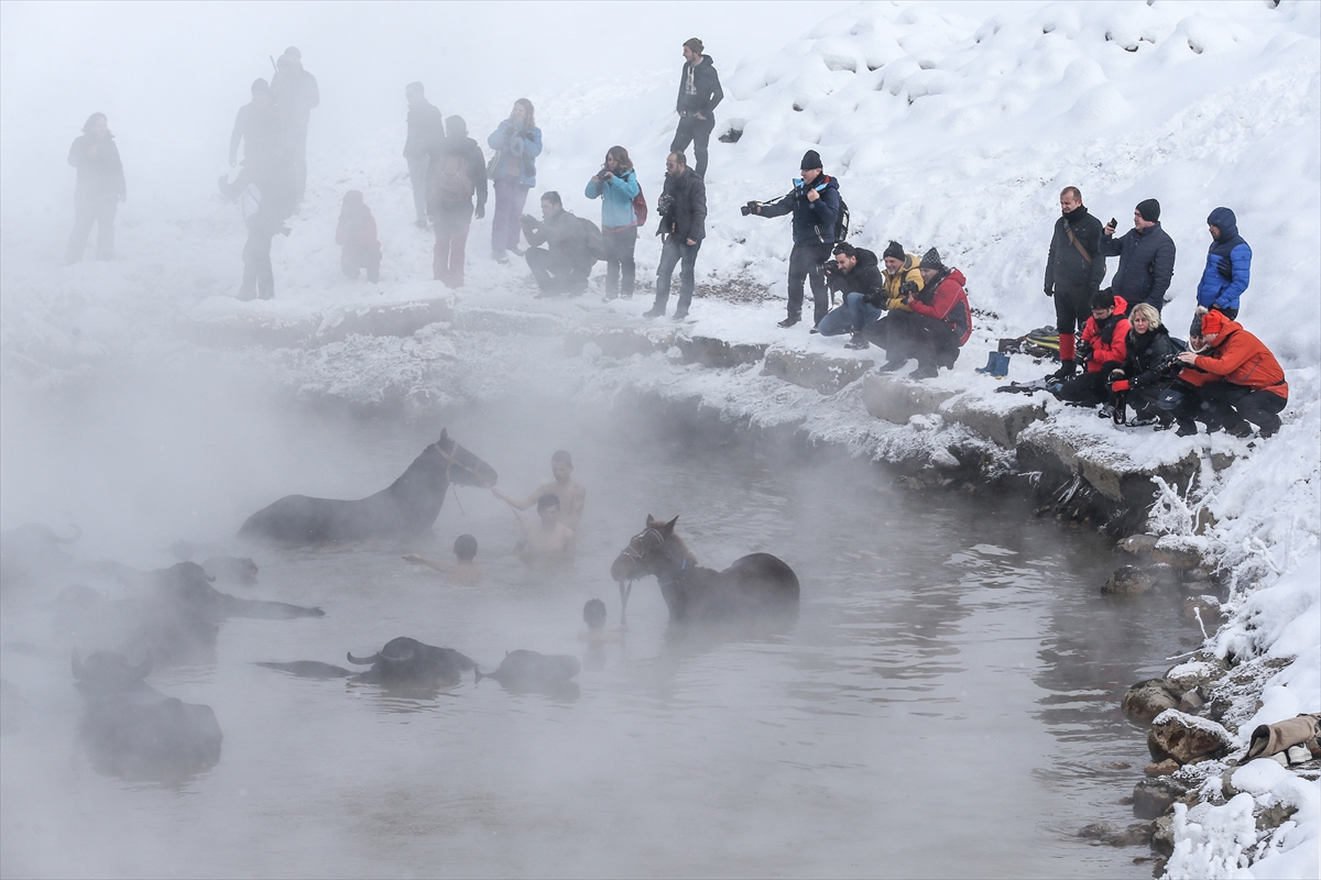 Bitlis'te doğal kaplıca keyfi