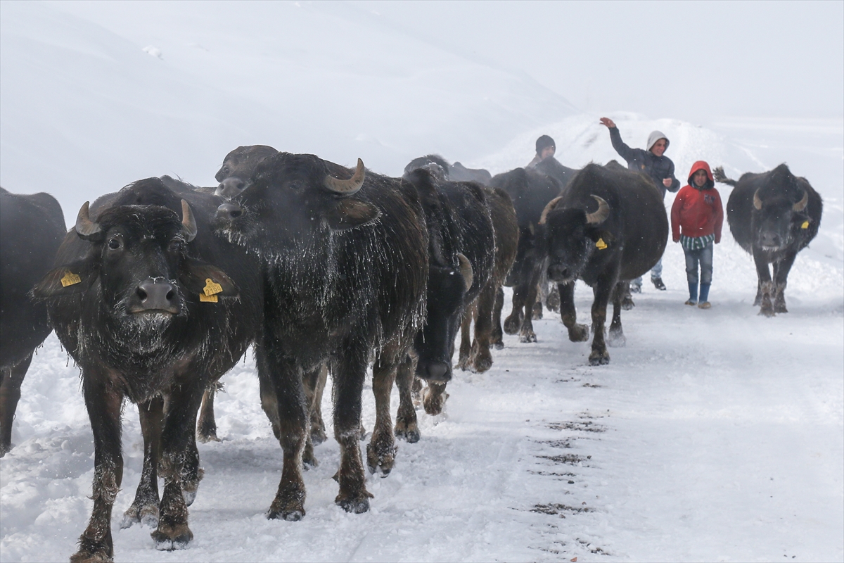 Bitlis'te doğal kaplıca keyfi