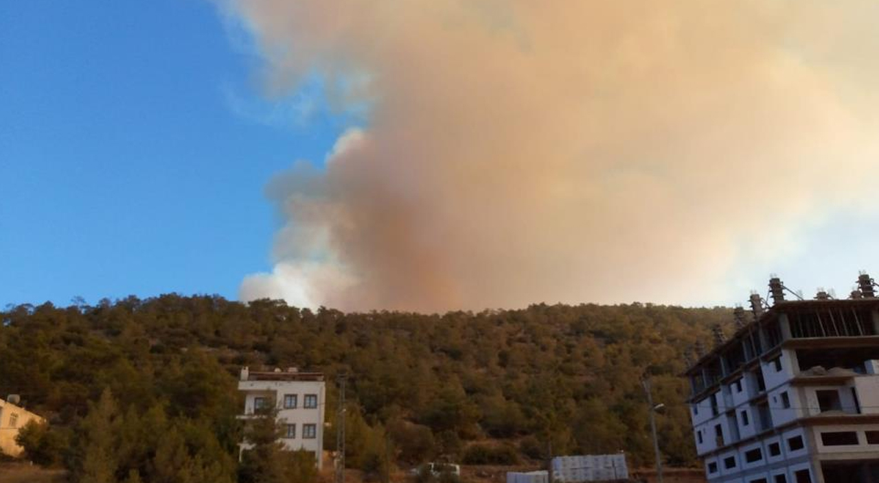 Mersin'de orman yangını! Müdahale sürüyor: 110 ev tahliye edildi Mersin'de orman yangını! Müdahale sürüyor: 110 ev tahliye edildi