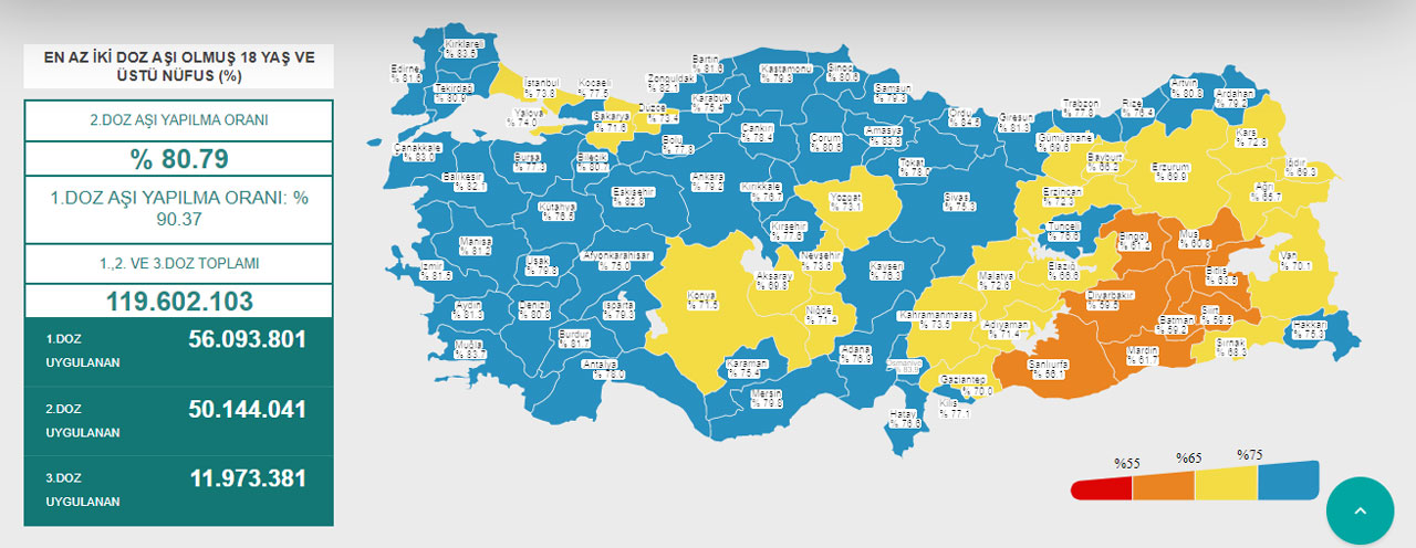 Yeni dalga yaklaşıyor , aşıya direnenler faciaya sürüklüyor