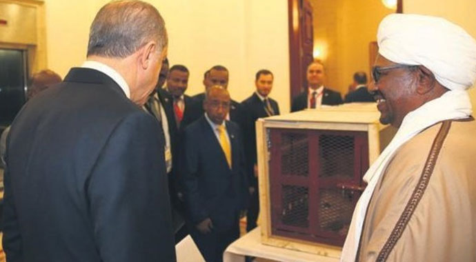 Cumhurbaşkanı Erdoğan’ın aslanlarına yoğun ilgi Cumhurbaşkanı Erdoğan’ın aslanlarına yoğun ilgi