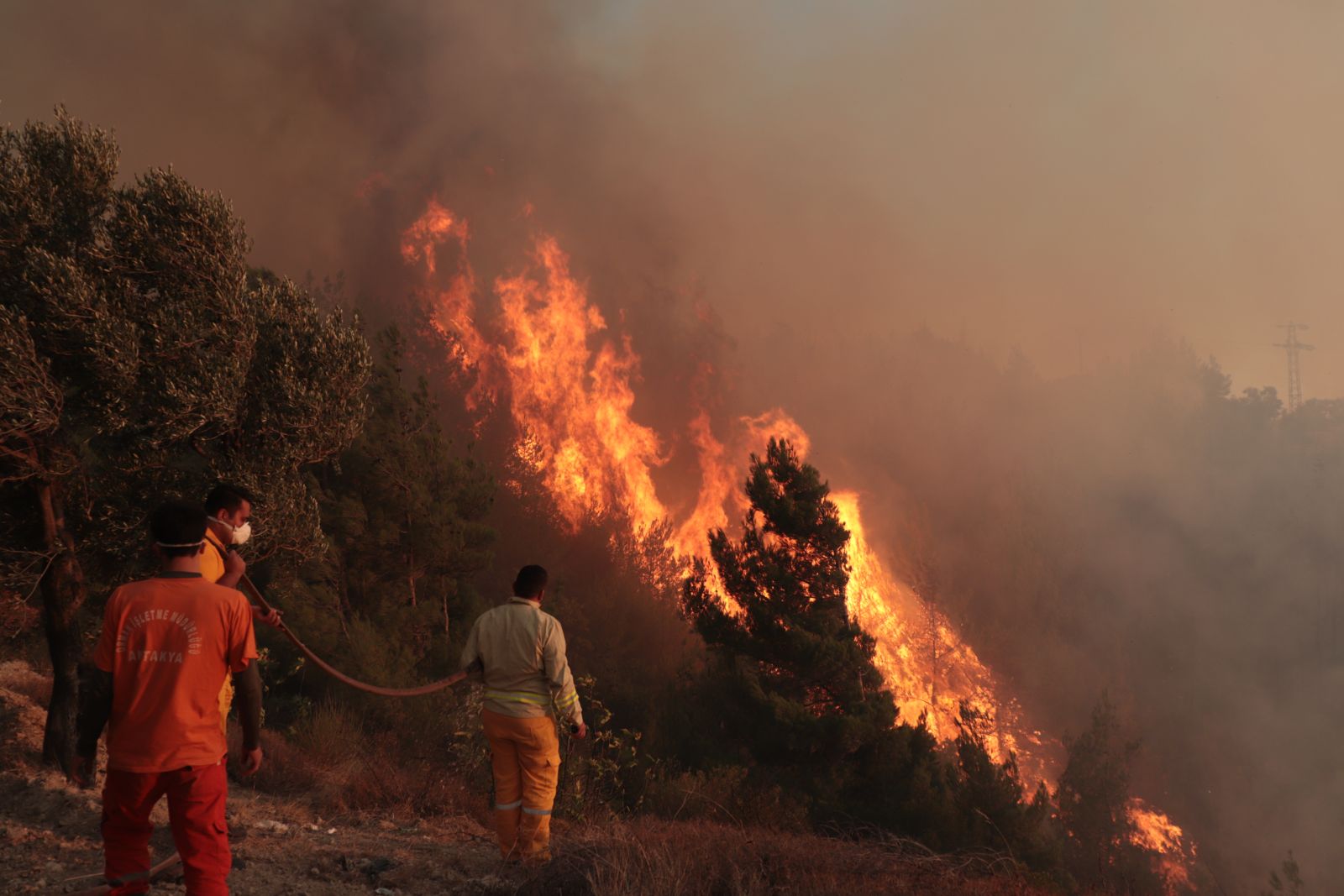 Hatay'da orman yangını çıktı