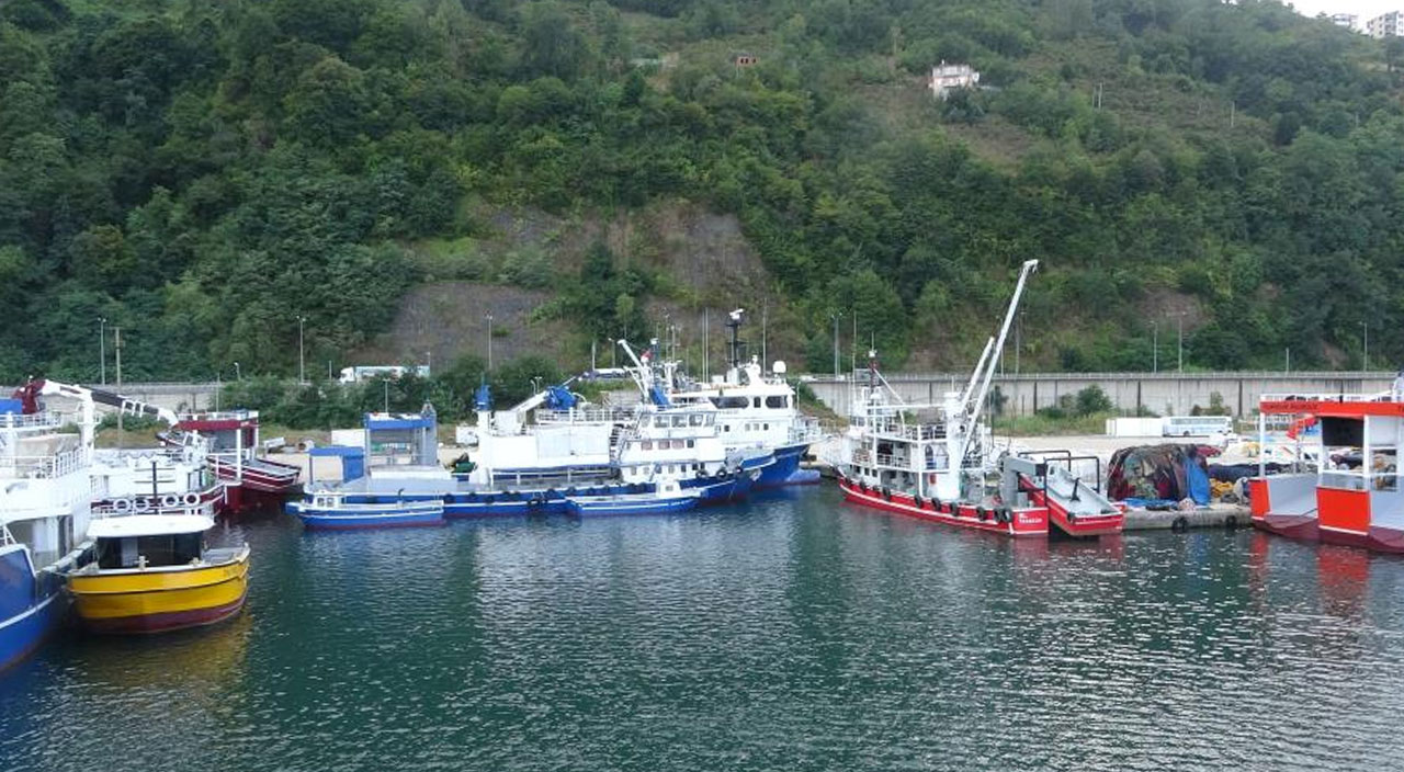 Bu gece ‘Vira Bismillah’ diyecekler: Tezgahlar hazır, balık sezonu açılıyor