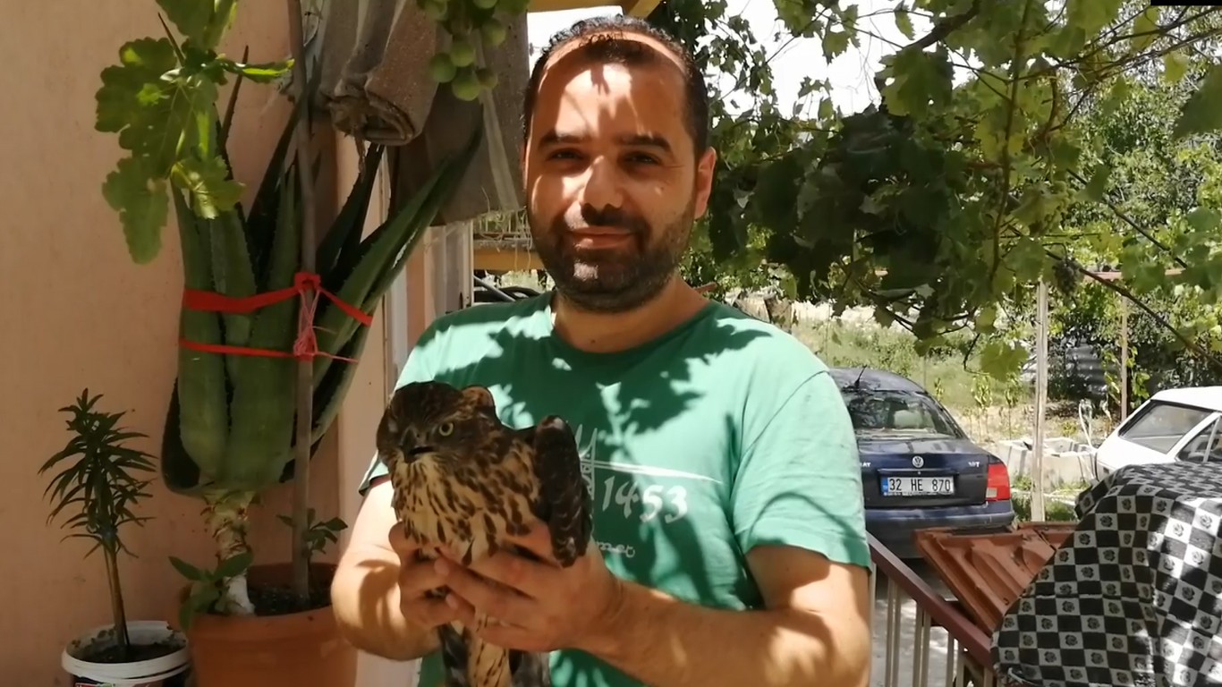 Kahvaltı yaparken fark ettiler, birden cama çarptı, balkona gittiklerinde yaralı halde buldular