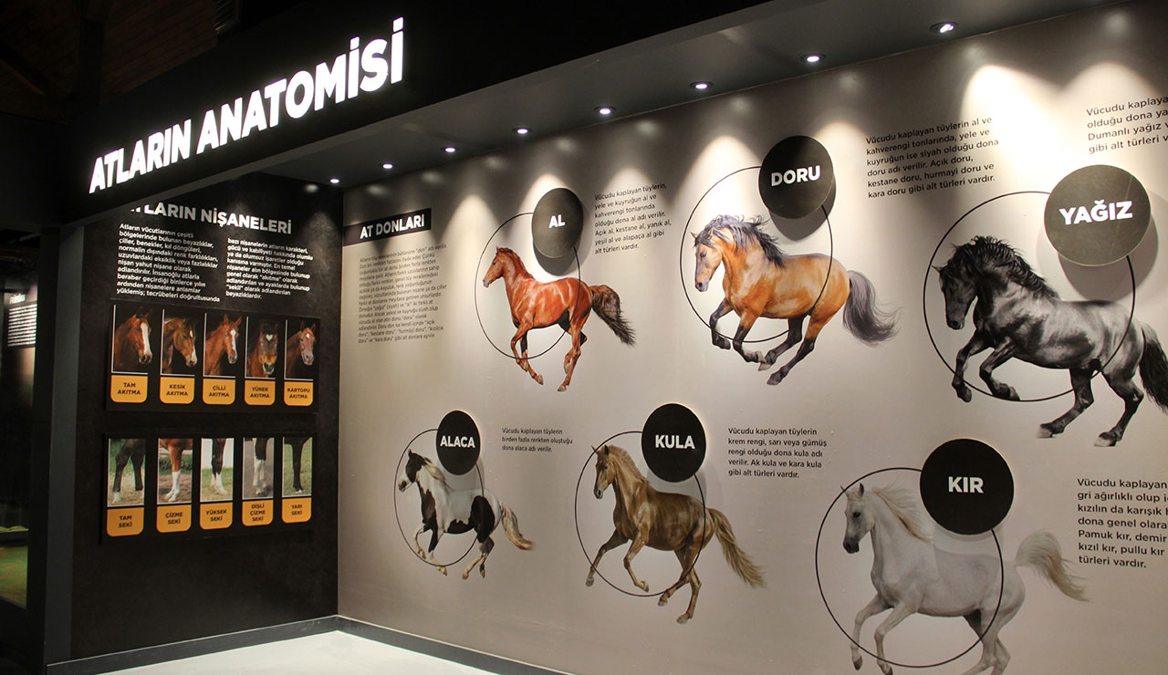 Savaş Atları Müzesi açılışa gün sayıyor