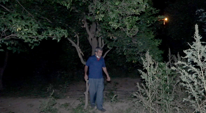 Son günlerde artmıştı...Tüfekle ve sopayla avokado nöbeti!