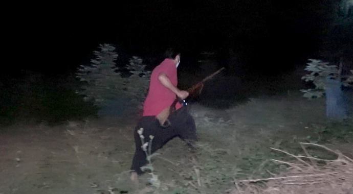 Son günlerde artmıştı...Tüfekle ve sopayla avokado nöbeti!