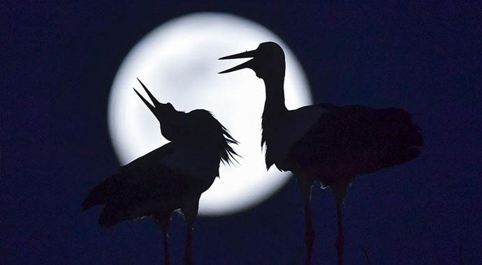 'Süper Ay' görenleri hayran bıraktı