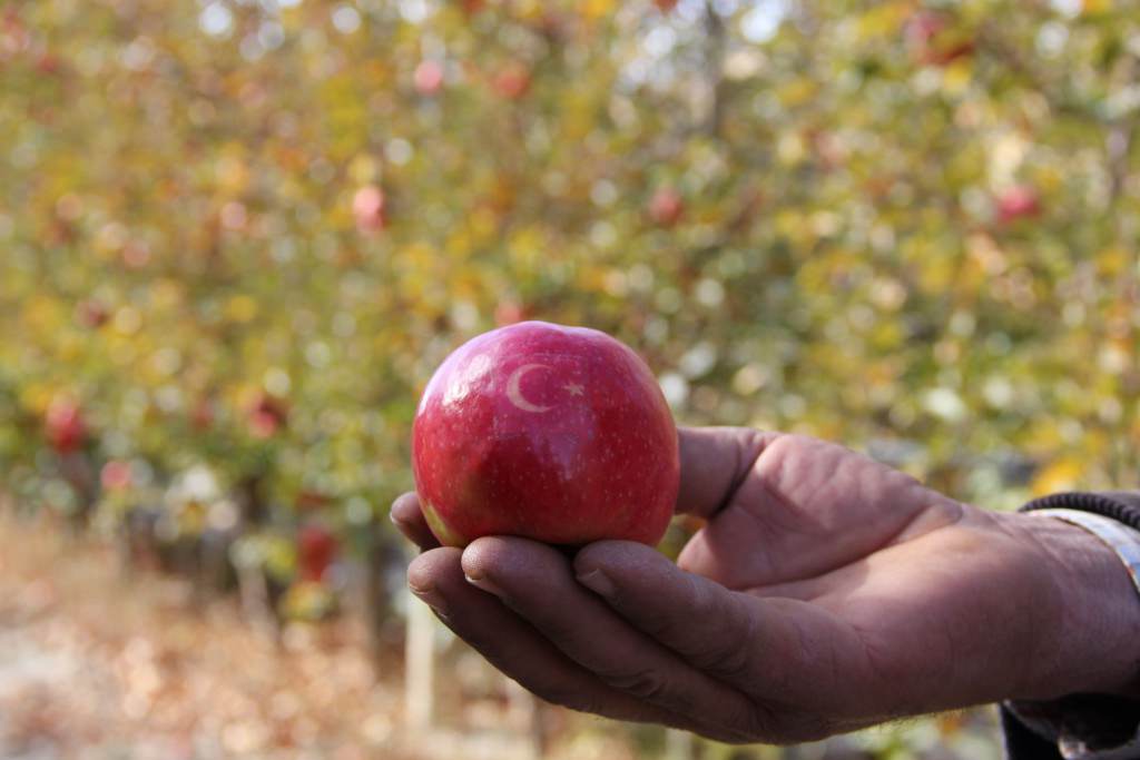 'Ay yıldızlı' elmalara talep çokluğu