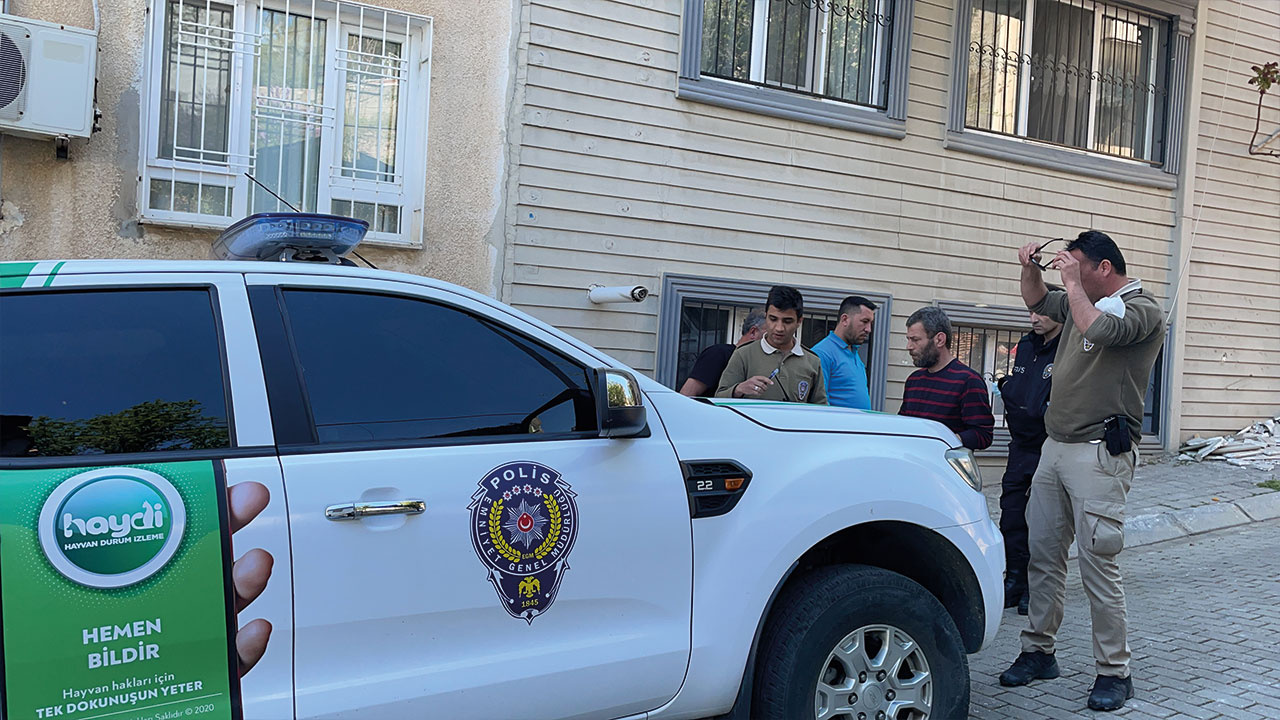 Bir pitbull vakası daha! Kadın öğretmen dehşeti yaşadı