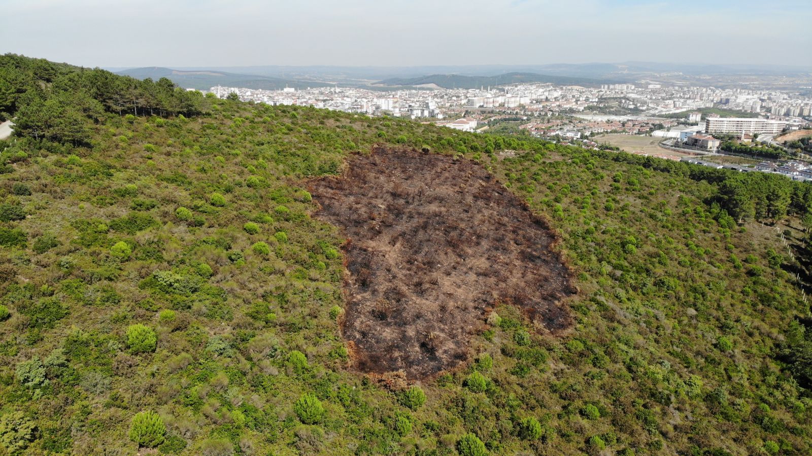 Aydos Ormanı'nda kundaklama sonucunda yanan ormanlık alandaki tahribat havadan görüntülendi Aydos Ormanı'nda kundaklama sonucunda yanan ormanlık alandaki tahribat havadan görüntülendi