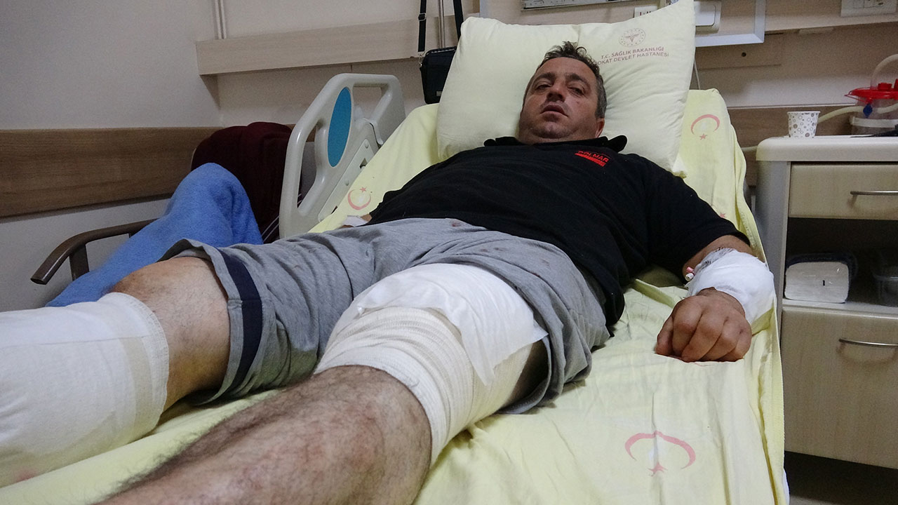 Kendisine saldıran ayıdan güreşerek kurtuldu