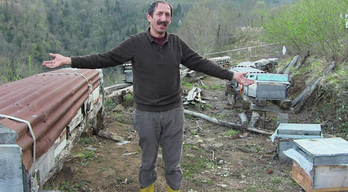 Ayı saldırıları köylüleri canından bezdirdi