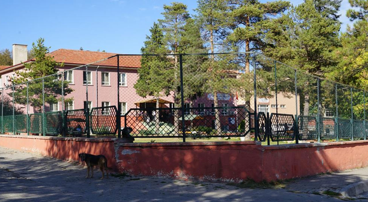 3 yaşındaki çocuk sokak köpeğinin saldırısına uğradı