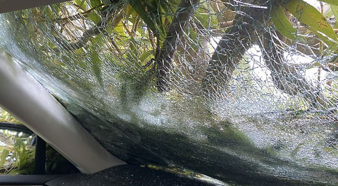 Arabanın üzerine ağaç devrildi, sürücü kıl payı kurtuldu