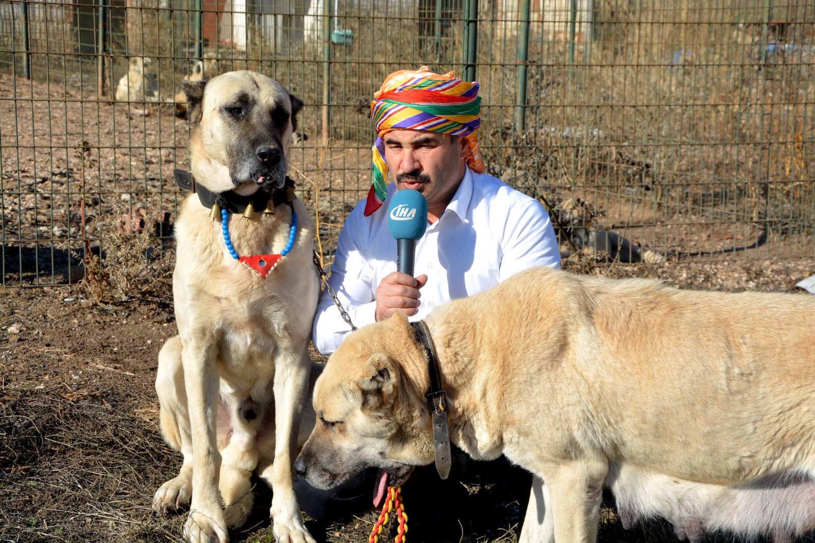 Türkiye'deki tüm sınır karakollarına bu köpeker verilecek