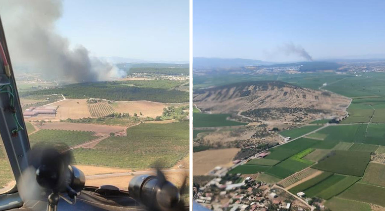 İzmir'de orman yangını