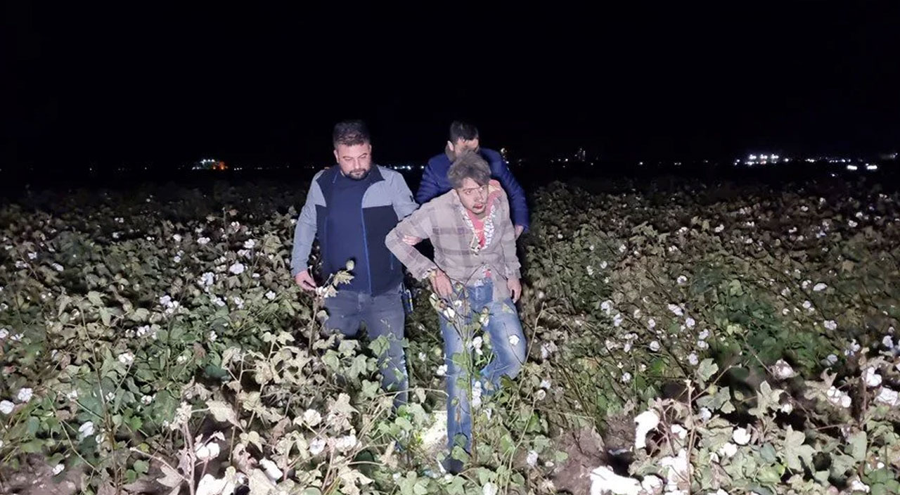Kaçak göçmenleri taşıyordu: Polisten kaçmak isterken pamuk tarlasına devrildi