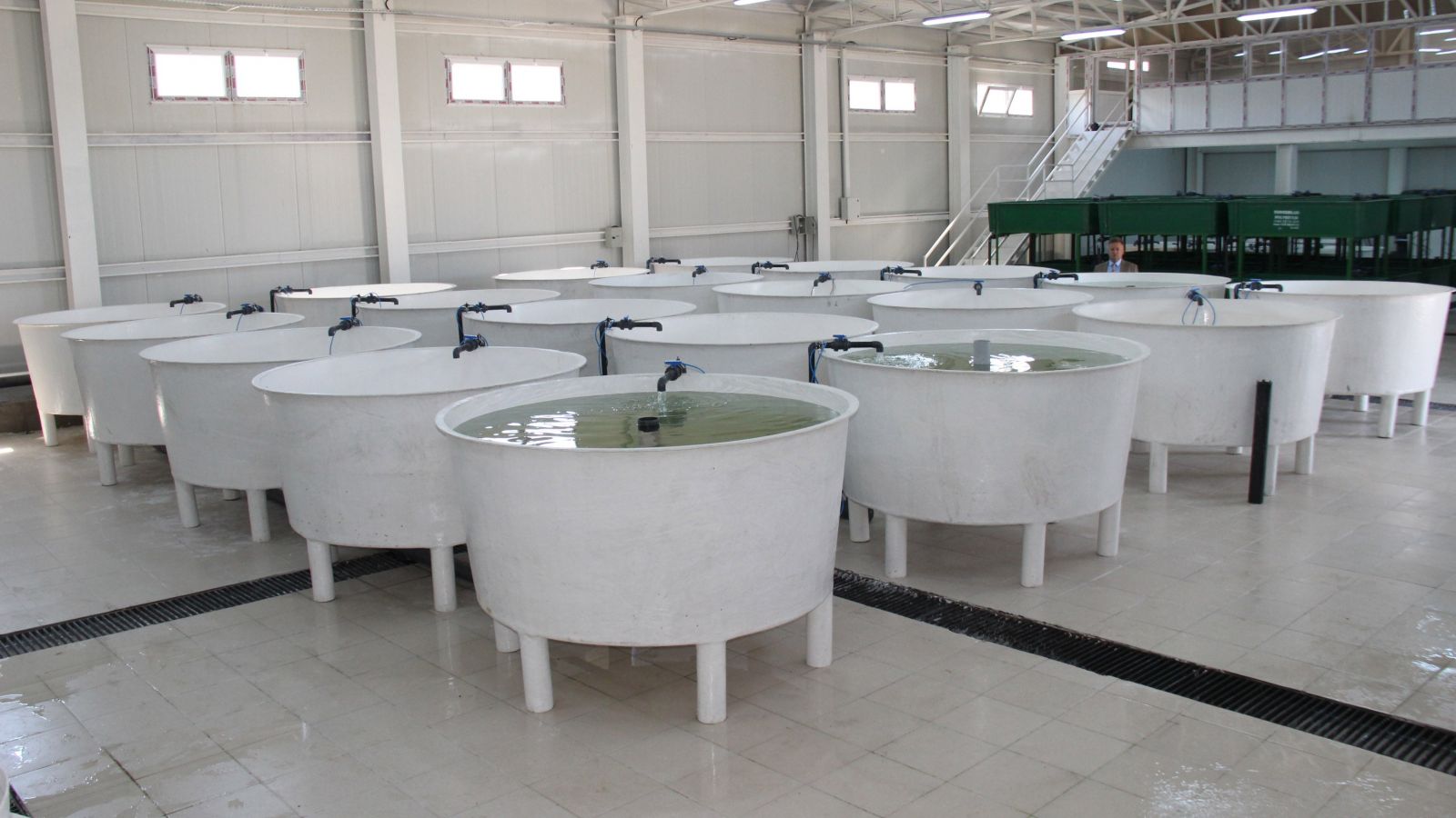 21 ile balık Elazığ'dan gidecek