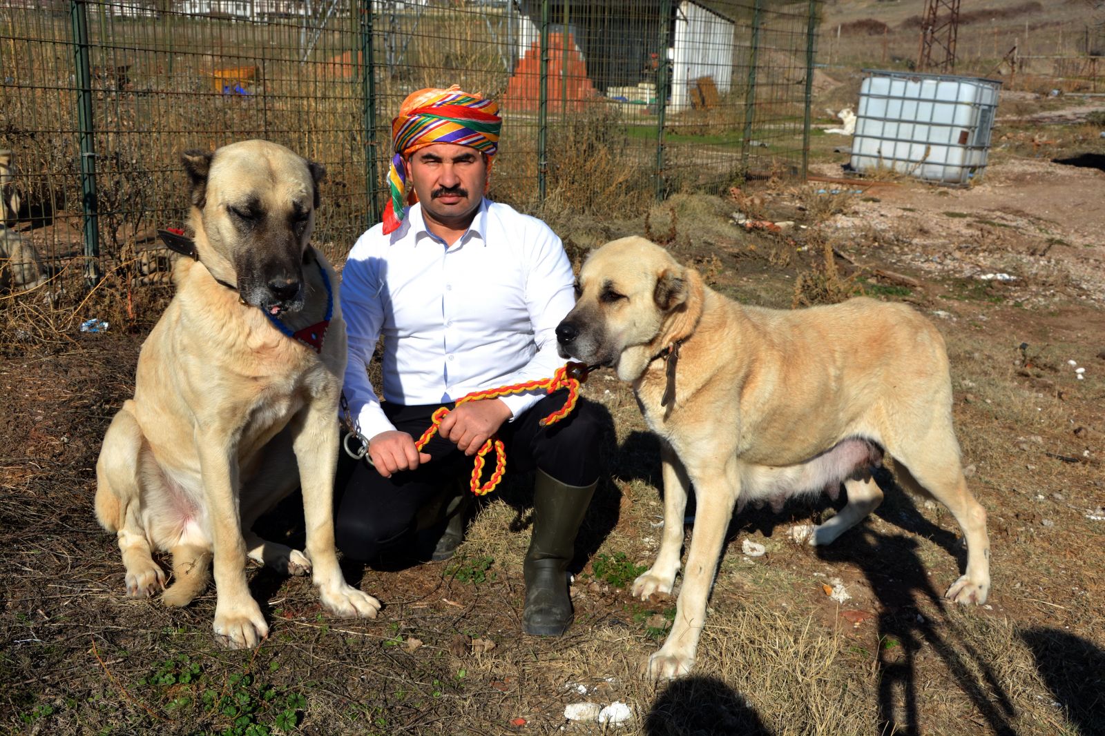 Türkiye'deki tüm sınır karakollarına bu köpeker verilecek