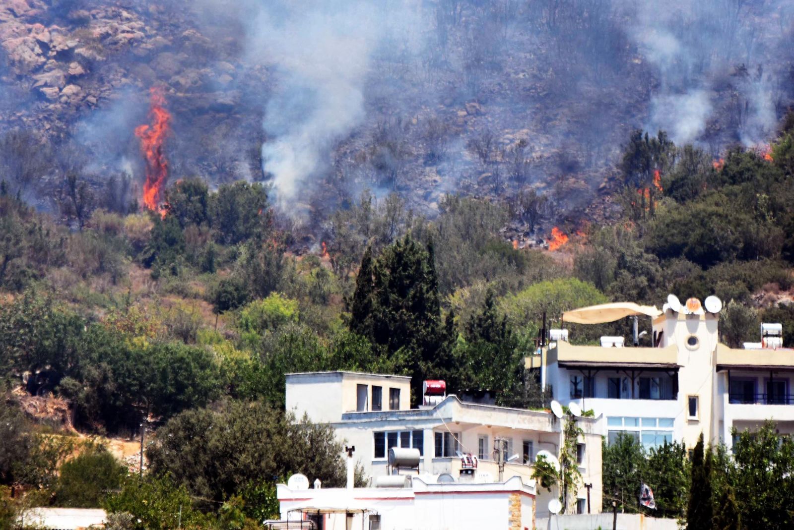 Bodrum yine alev alev