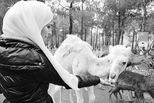 Dünyanın öbür ucundan gelip Türkiye'de evlenen eğitmenler SEVİMLİ FOKLARA anne-baba oldular!
