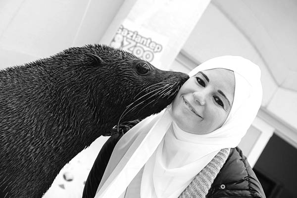 Dünyanın öbür ucundan gelip Türkiye'de evlenen eğitmenler SEVİMLİ FOKLARA anne-baba oldular!