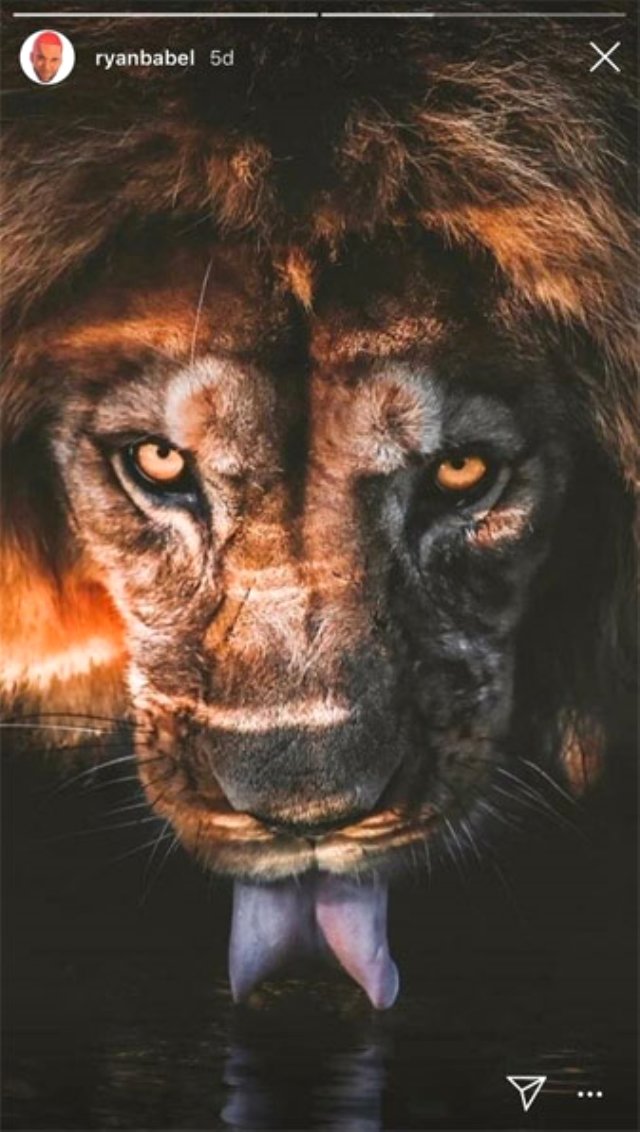 Galatasaray'ın gündemindeki Babel'den Aslan paylaşımı! Galatasaray'ın gündemindeki Babel'den Aslan paylaşımı!