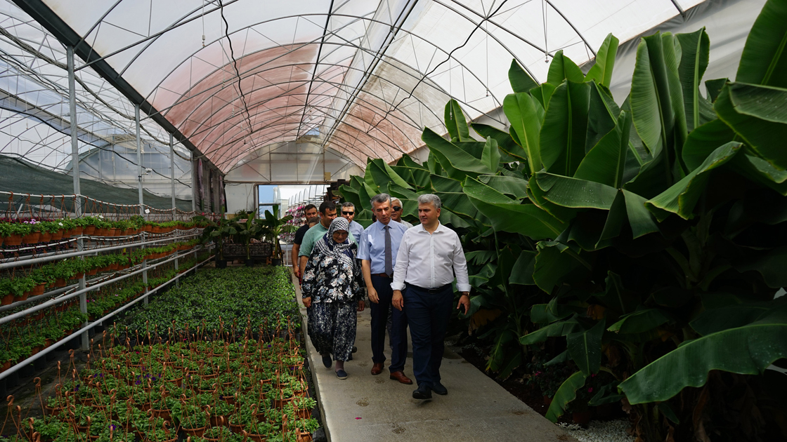 Süs bitkileri ülke ekonomisine 120 milyon lira kazandıracak
