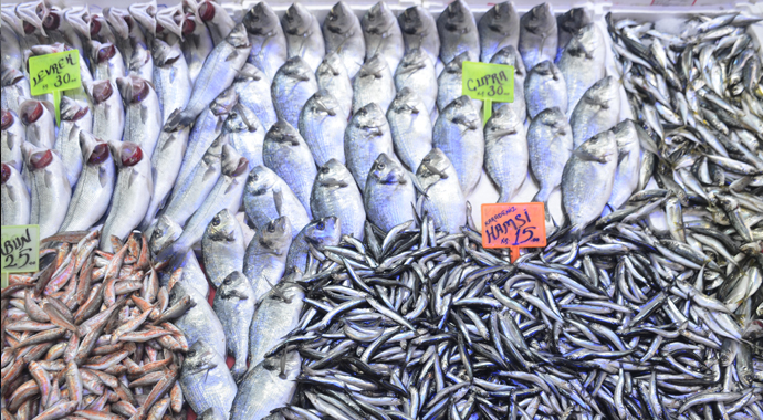 Balık fiyatlarında düşüş yaşanmıyor