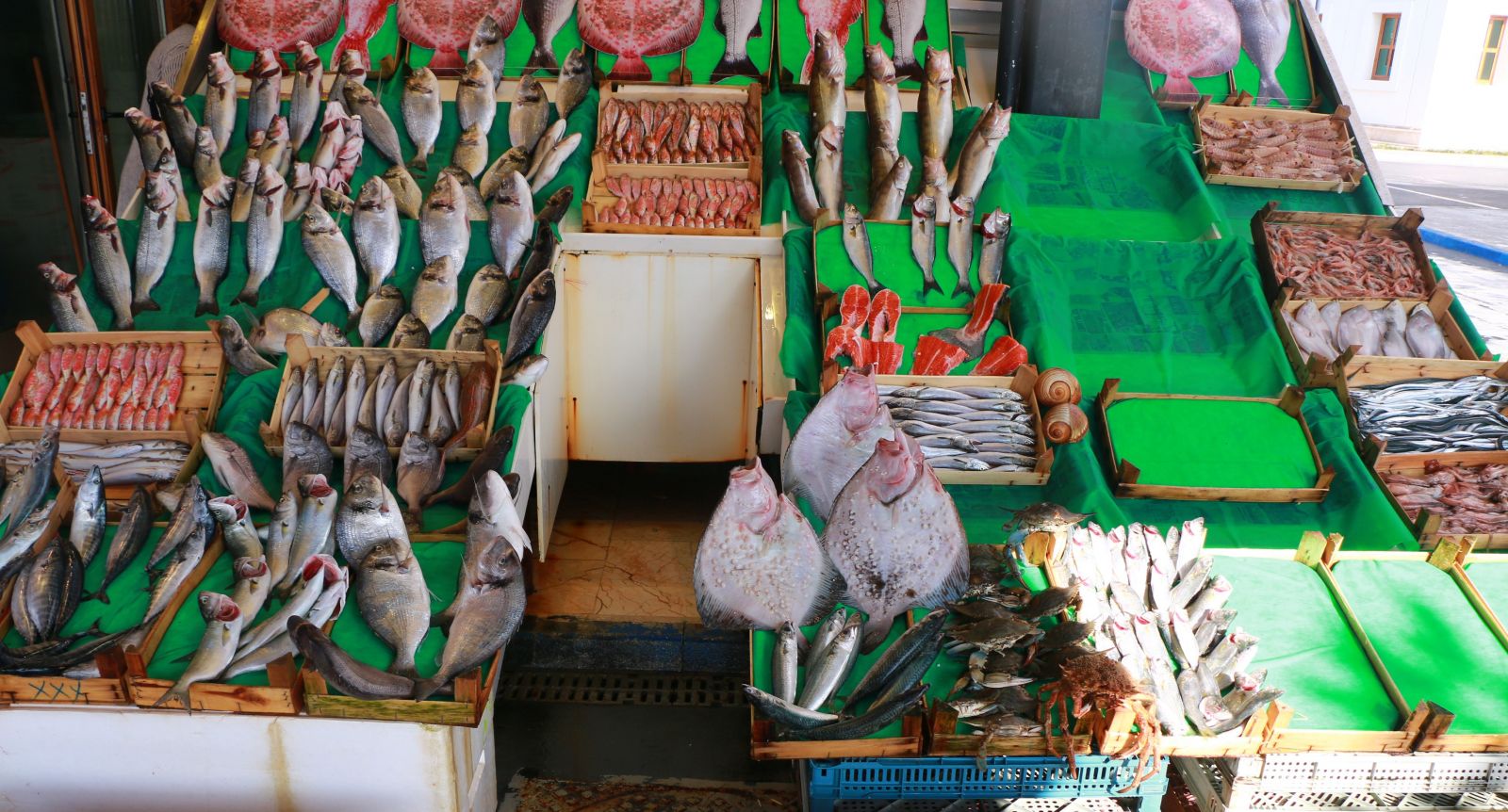 Sıcak havalar balık satışlarını olumsuz etkiledi