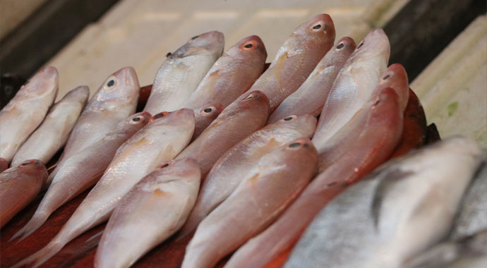 Av yasağı geldi, tezgahlar boşaldı, fiyatlar arttı