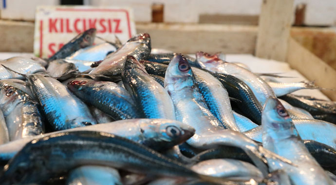 Av yasağı geldi, tezgahlar boşaldı, fiyatlar arttı