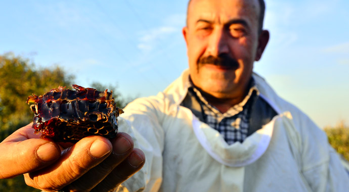 Kovandan 'kırmızı bal' çıktı