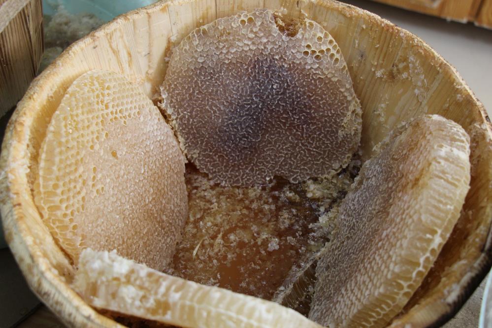 Çam ve keçiboynuzu balı soğuk algınlığına şifa