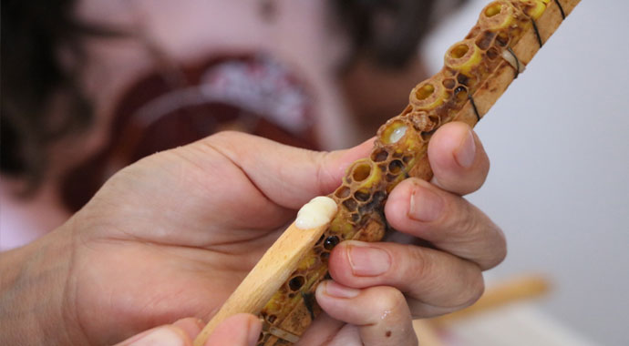 Kilosu 8 bin lira, taleplere yetişemiyor