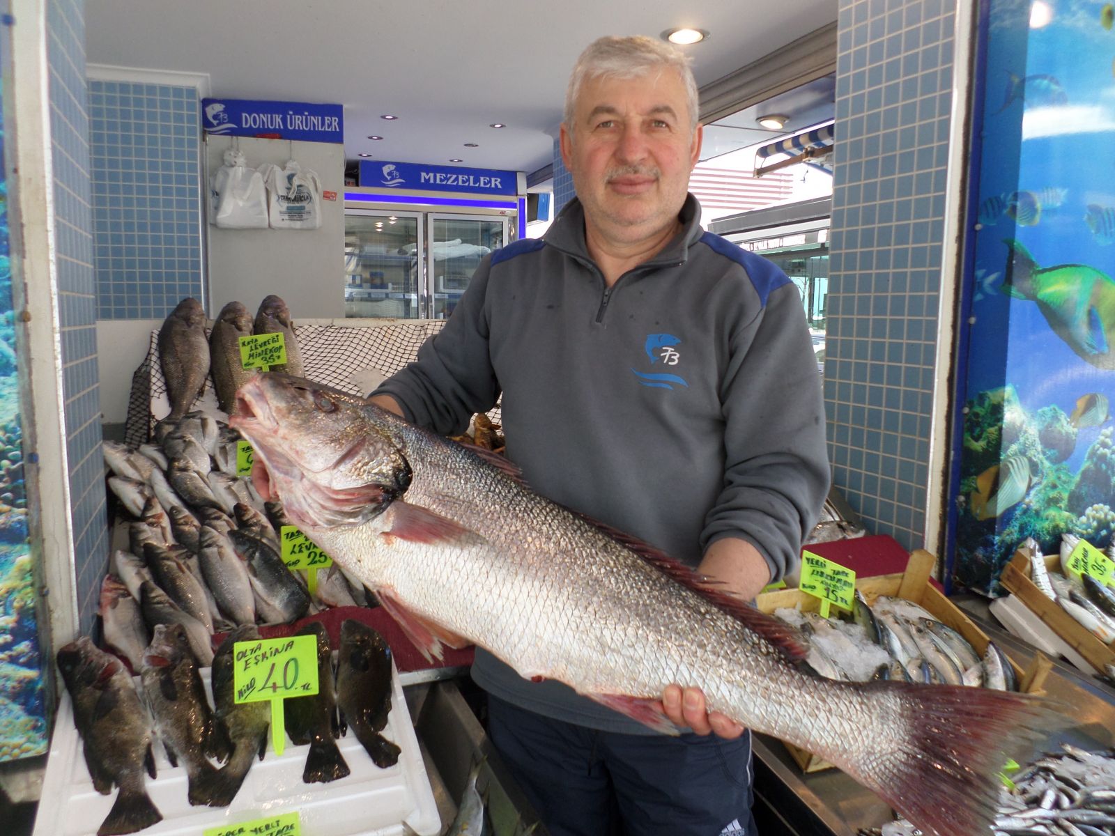 Minekopun kilosu 50 liradan satılıyor