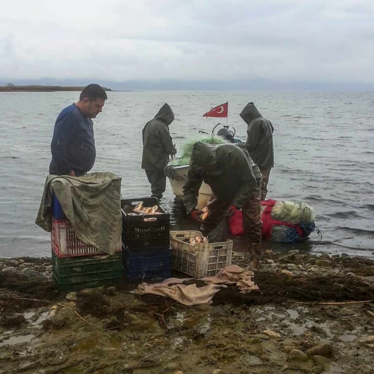 Büyük sürpriz! Nesli tükendiği sanılan 'kepekleme' balığı yeniden ortaya çıktı