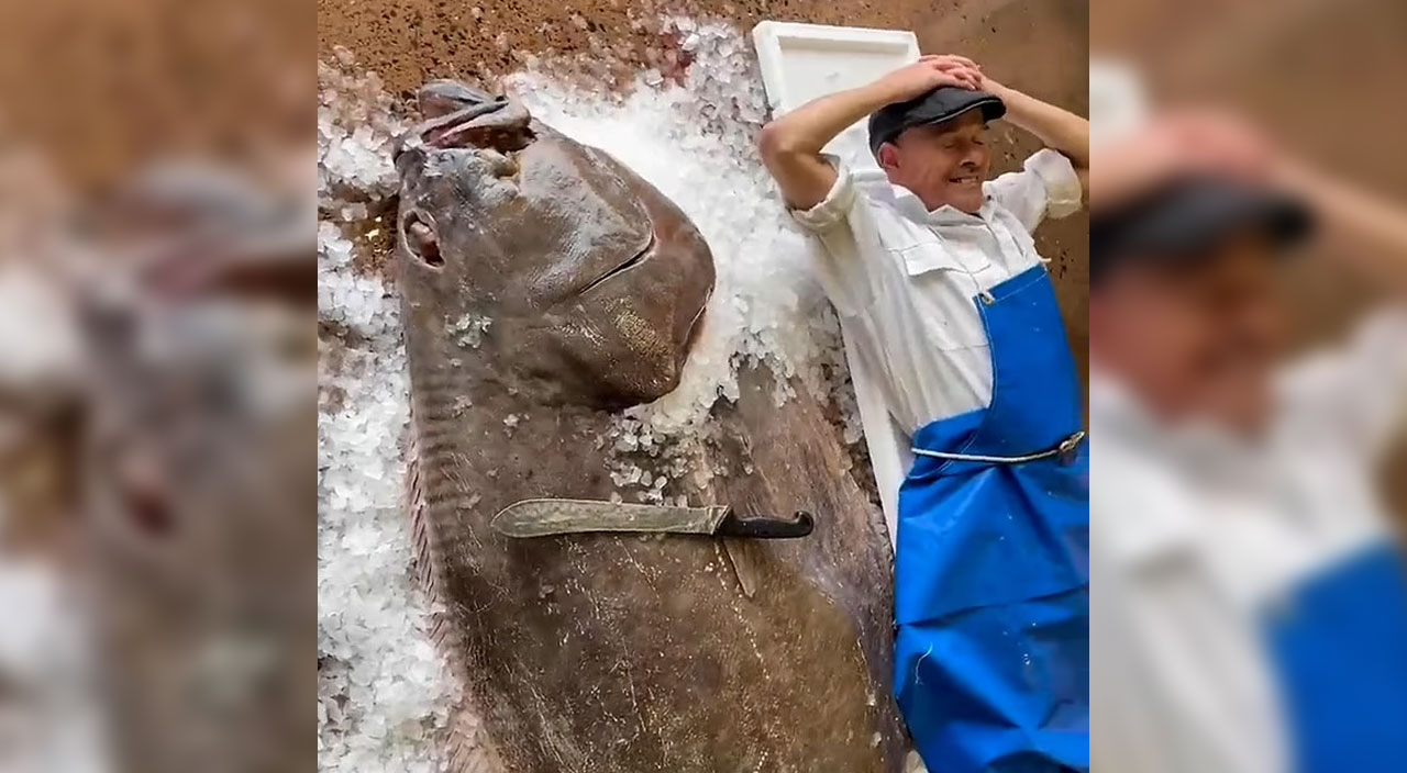 Balıkçı, avının yanında küçük kaldı: 180 santim boyunda, 120 kilo ağırlığında