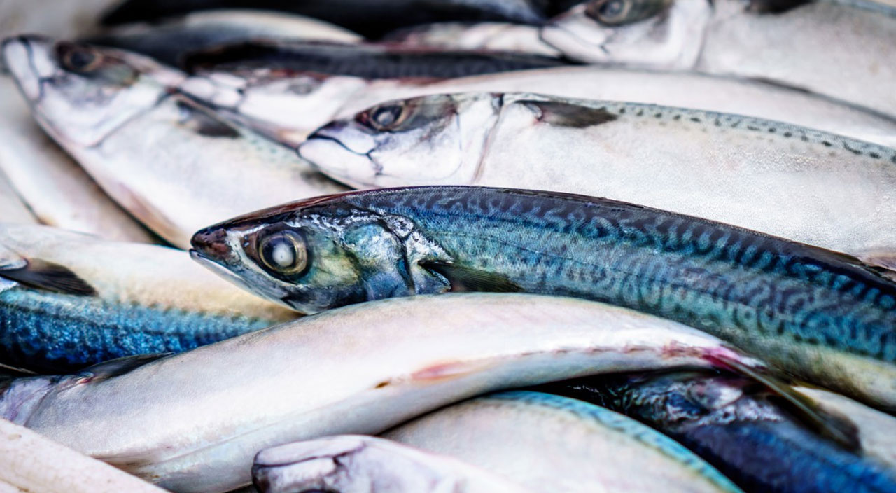 Balık kanı nasıl temizlenir? Balığın kanı nasıl çıkar? İşte püf noktaları…