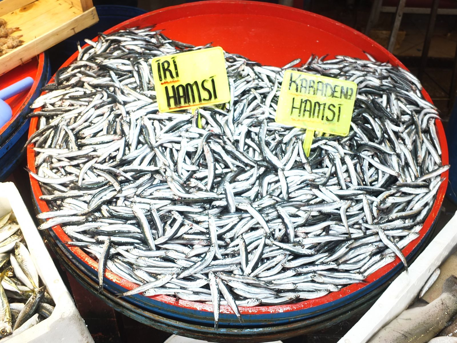 Balık tezgahlarında yüzde 200 indirim