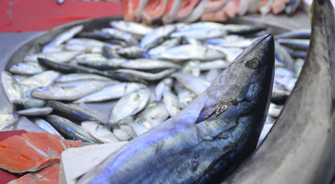 Balık fiyatlarında düşüş yaşanmıyor