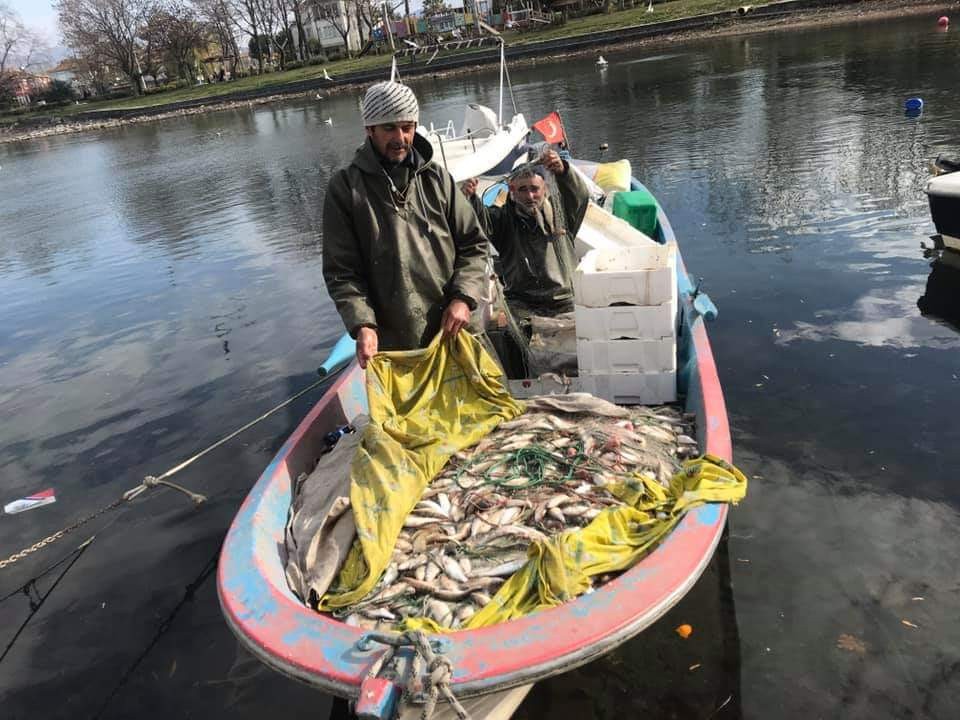 Büyük sürpriz! Nesli tükendiği sanılan 'kepekleme' balığı yeniden ortaya çıktı