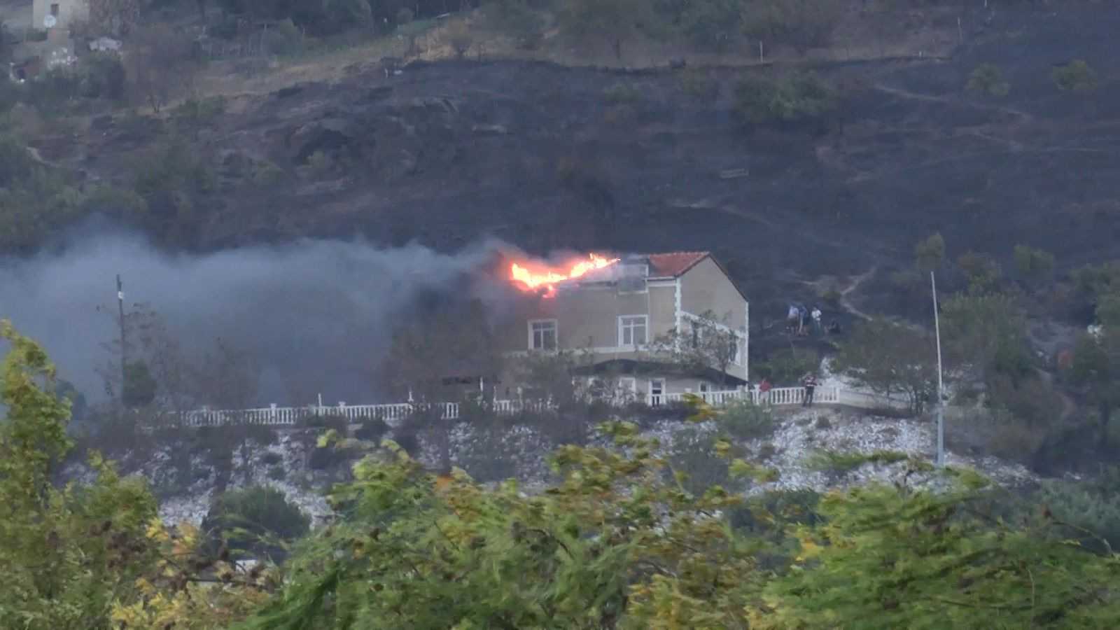 Marmara Adası'nda orman yangını